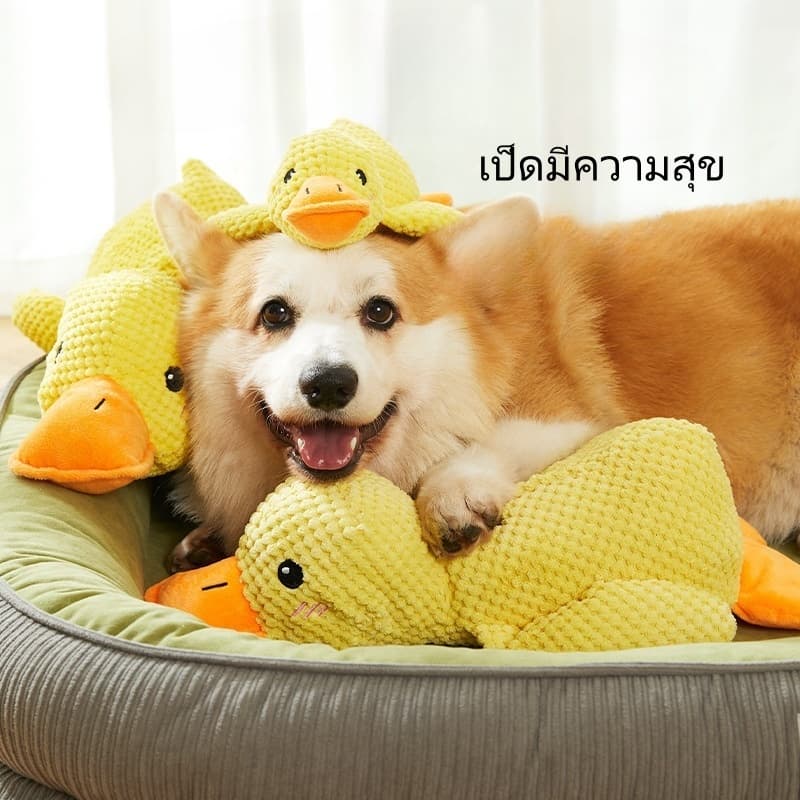 ของเล่นสุนัข ของเล่นแมว ตุ๊กตาเป็ดที่มีเสียงในตัว ของเล่นแบบโต้ตอบ CW71 รูปที่ 7