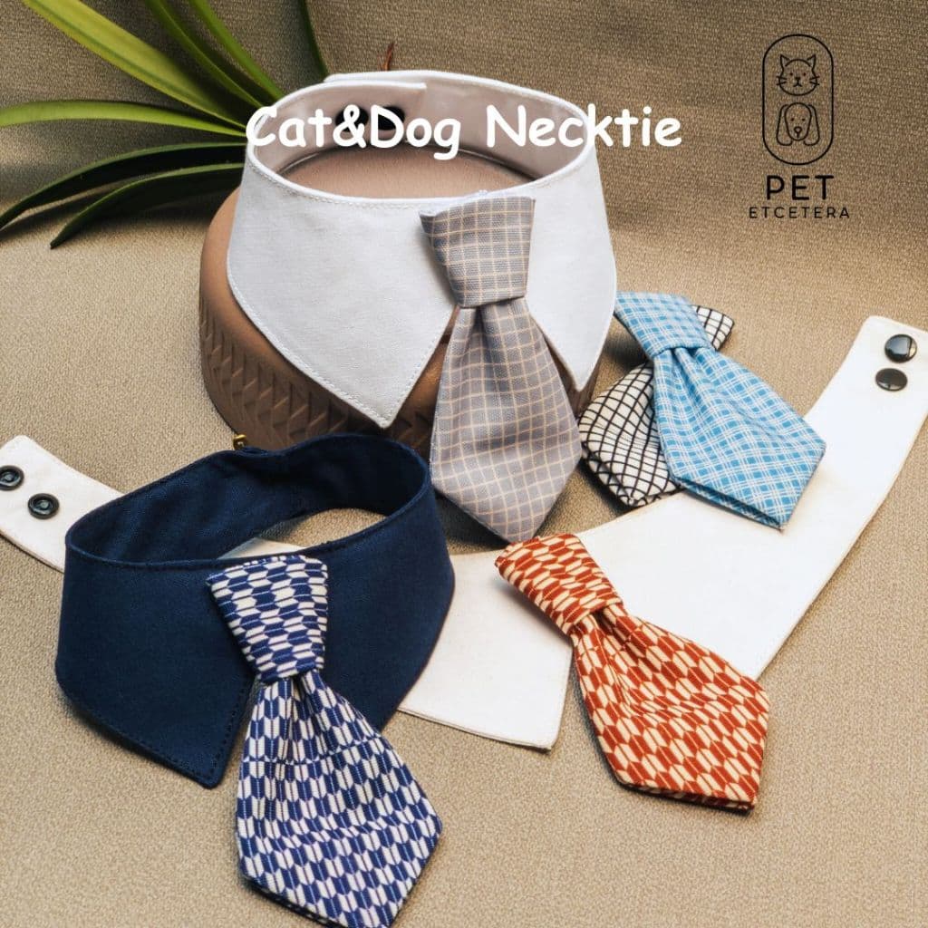 เนคไท น้องแมวน้องหมา ปลอกคอ รุ่น necktie ลายและสีสวย น้องใส่แล้วหล่อมาก ทำจากผ้า cotton รูปที่ 2