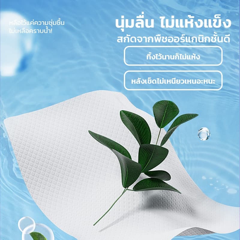 ทิชชู่เปียก ทิชชู่เปียกหมา สัตว์เลี้ยง สำหรับน้องหมาน้องแมว สำหรับเช็ดสัตว์เลี้ยง ทิชชู่เปียกเช็ดทำความสะอาด จำนวน80แผ่น รูปที่ 4