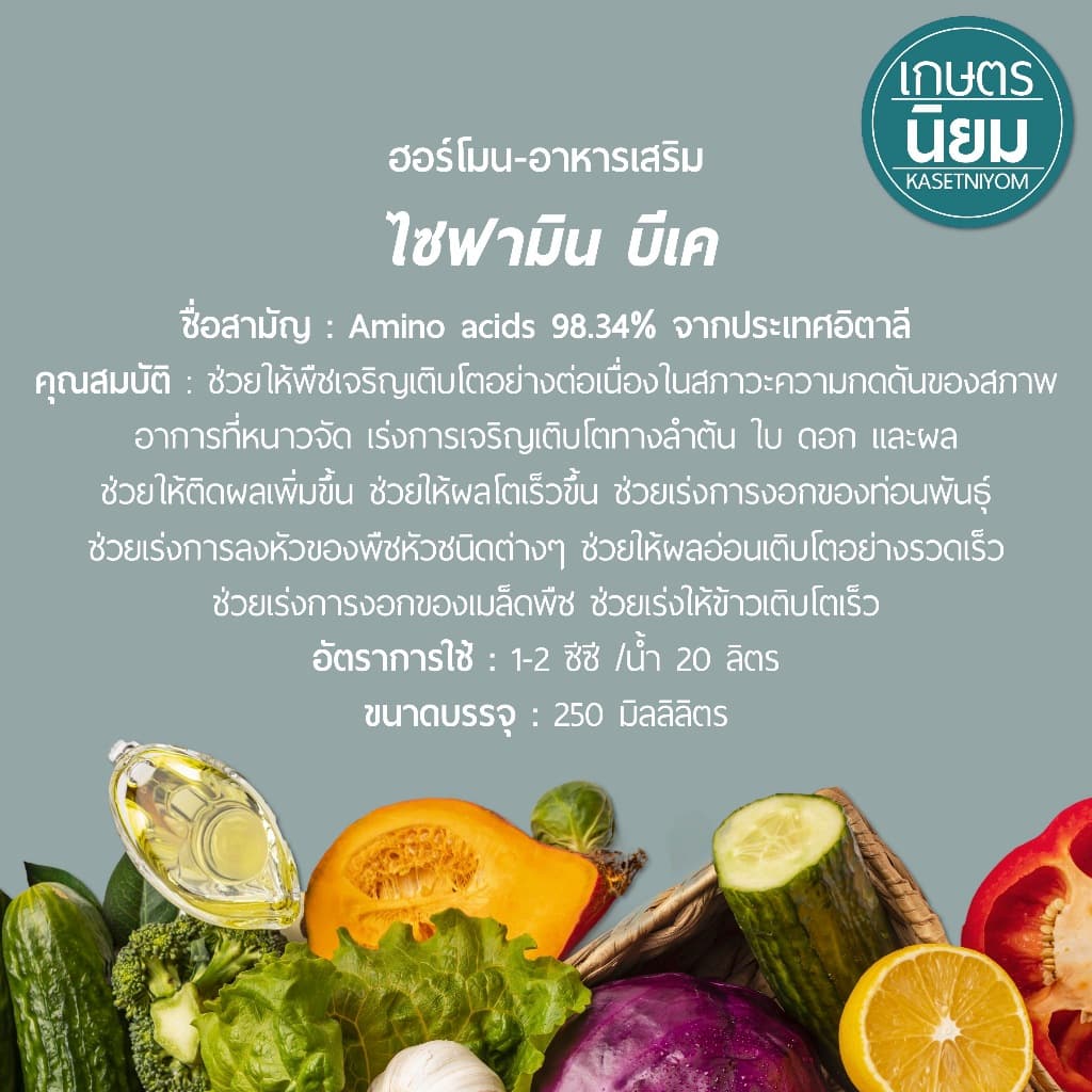 ไซฟามิน บีเค 250 มิลลิลิตร รูปที่ 2