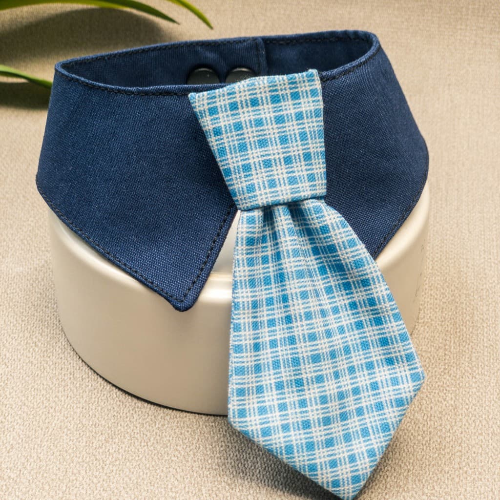 เนคไท น้องแมวน้องหมา ปลอกคอ รุ่น necktie ลายและสีสวย น้องใส่แล้วหล่อมาก ทำจากผ้า cotton รูปที่ 9