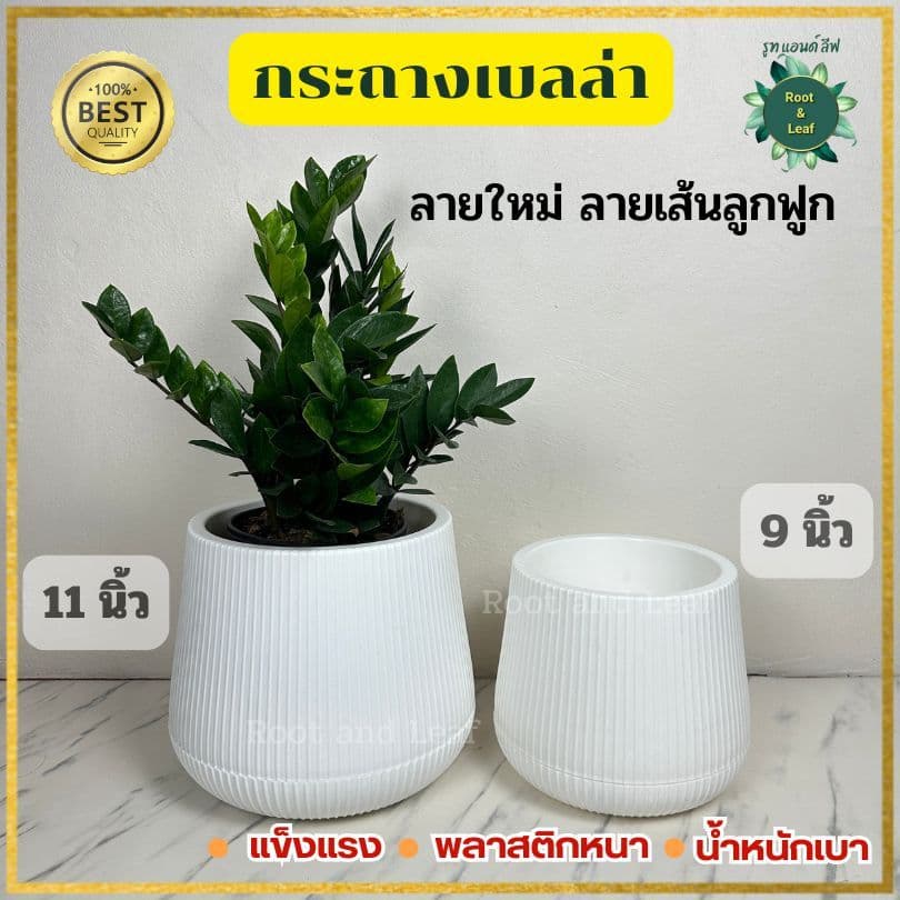กระถางเบลล่าลายลูกฟูก กระถางพลาสติกมินิมอล ลายใหม่ลายเส้นลูกฟูก ขนาด 9 นิ้ว และ 11 นิ้ว เหมาะสำหรับตกแต่งบ้านแต่งคอนโด รูปที่ 2