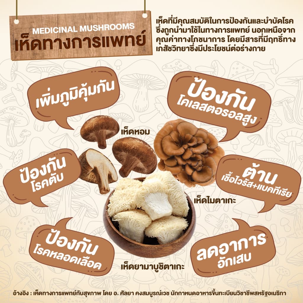 6 กล่อง สูตรใหม่ Cordy Plus Coffee คอร์ดี้พลัส กาแฟ ผสมสมุนไพร และ วิตามินรวม 24 ชนิด รูปที่ 5