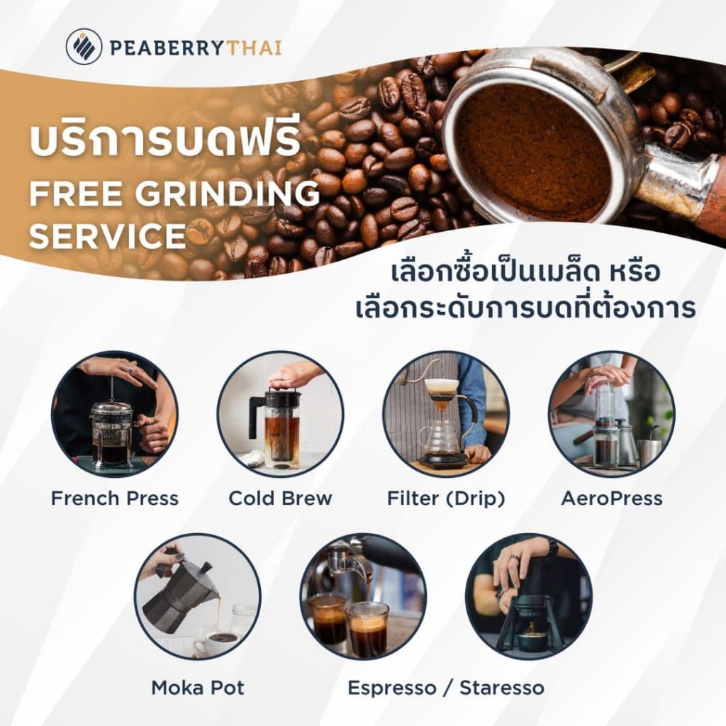 Pacamara เมล็ดกาแฟ Colombia Decaffeinate 250 กรัม รูปที่ 6