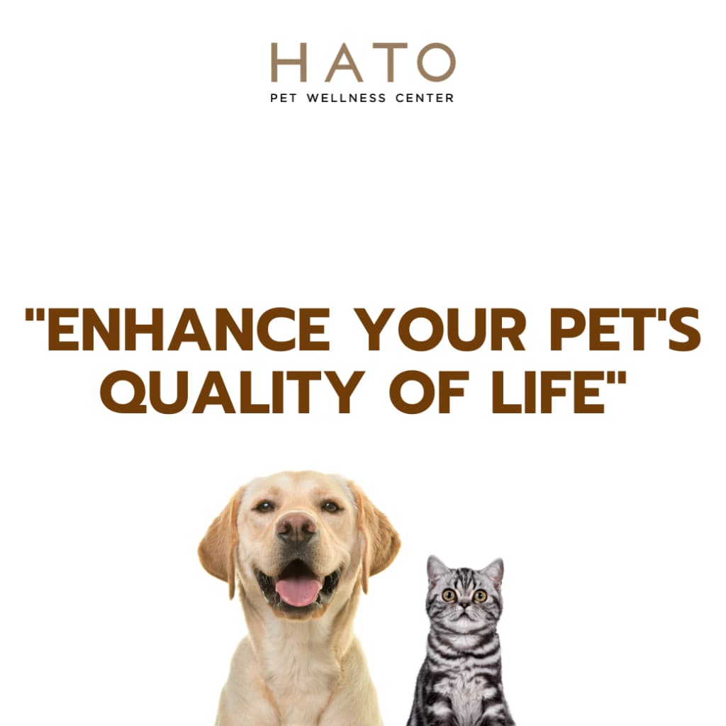 Royal canin neutered satiety balance 1.5 Kg อาหารแมวโต ทำหมัน ชนิดเม็ด รูปที่ 3