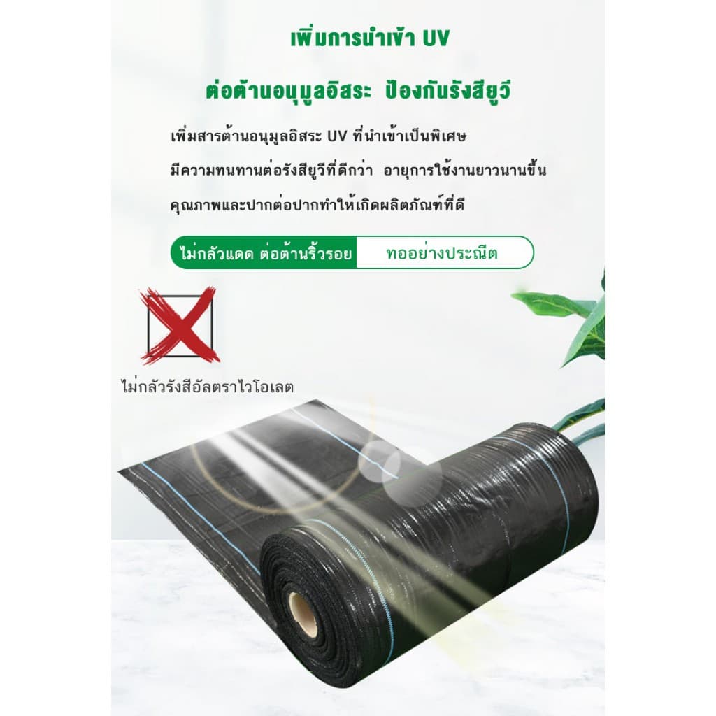 พลาสติกคลุมดิน ผ้าคลุมหญ้า พลาสติกคลุมวัชพืช กำจัดวัชพืช ผ้าคลุมวัชพืช พลาสติกเกรดส่งออก ผสมUV ฆ่าหญ้า ทำเฉพาะคุณภาพ รูปที่ 6