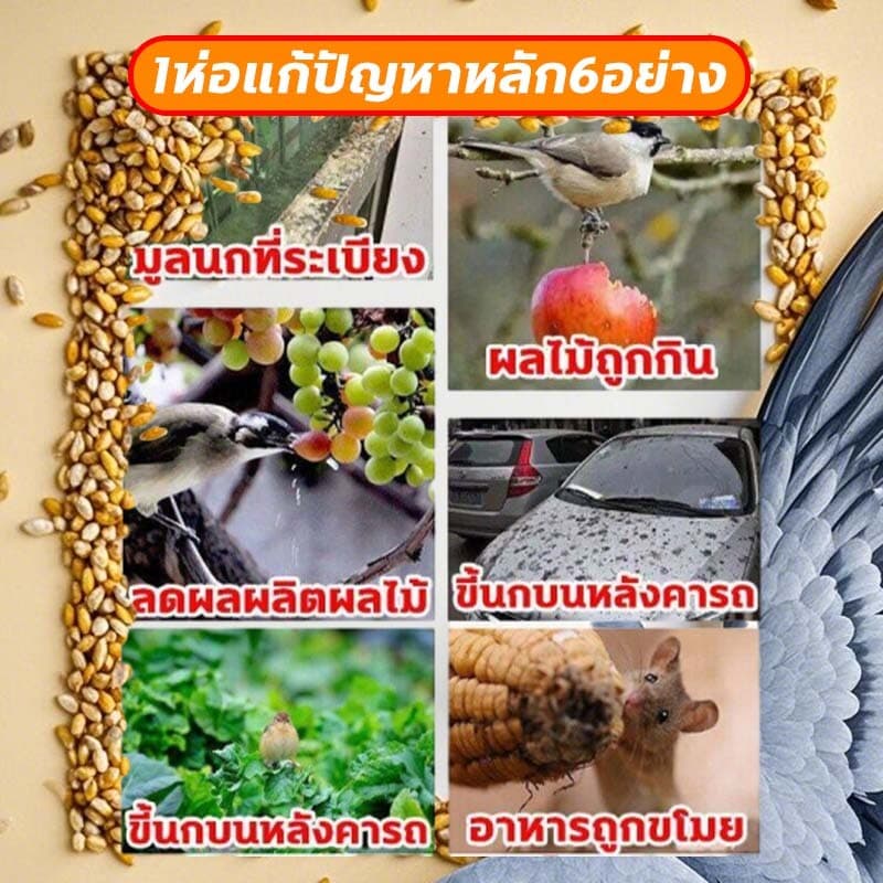 บอกลาขี้นกที่กวนใจเหยื่อกำจัดนก นำเข้าจากเยอรมัน ตายแห้งไม่เหม็น ยาเบื่อนก เหยื่อกำจัดนกพิราบ ยากำจัดนกพิราบ ไล่นก รูปที่ 6