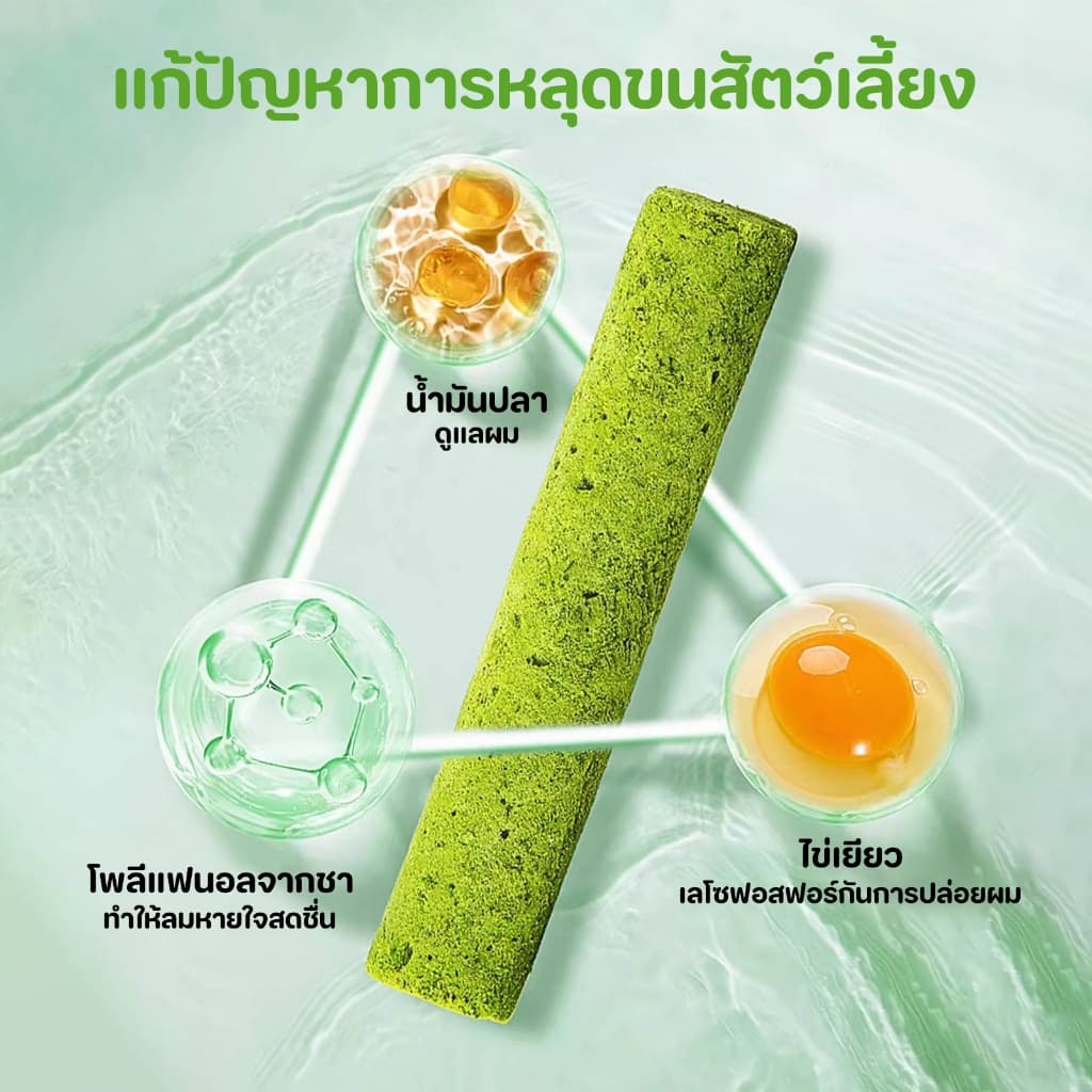 หญ้าแมวฟรีซดราย หญ้าแมวแห้ง ต้นอ่อนข้าวสาลี หญ้าแมวแท่ง ขนมหญ้าแมว ผลิตจากต้นอ่อนข้าวสาลี รูปที่ 3