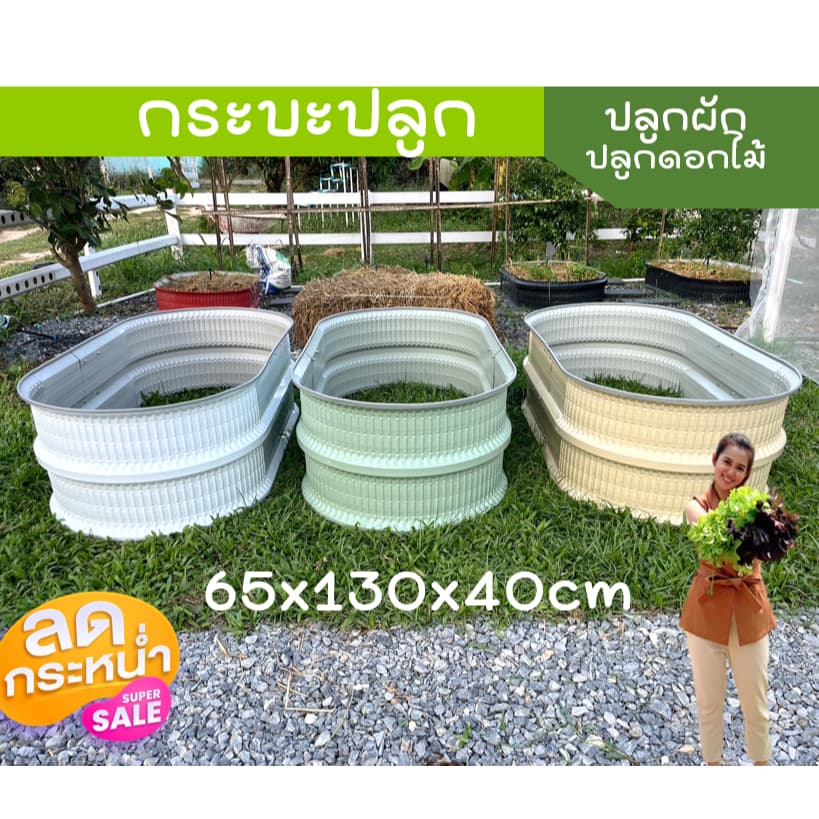 กระบะปลูกผัก กระบะปลูกดอกไม้ กระบะปลูกต้นไม้ รูปที่ 1