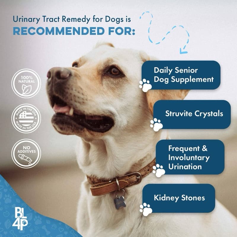 วิตามิน อาหารเสริม สุนัข แมว หมา Urinary Tract ทางเดินปัส สาวะ ฉี่ไม่ออก ลดอาการเบ่งฉี่ นิ่ว ระบบไต สำหรับแมว รูปที่ 4