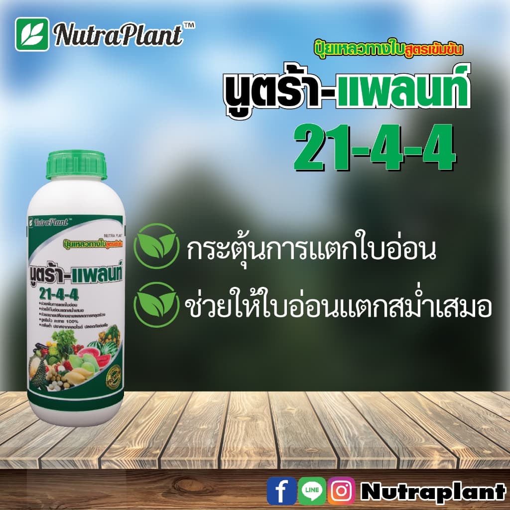21-4-4 นูตร้า-แพลนท์ ขนาด 1 ลิตร ปุ๋ยเหลวทางใบ เพิ่มการแตกใบอ่อน ขยายเปลือก ขยายผล ลดการหลุดร่วง รูปที่ 4