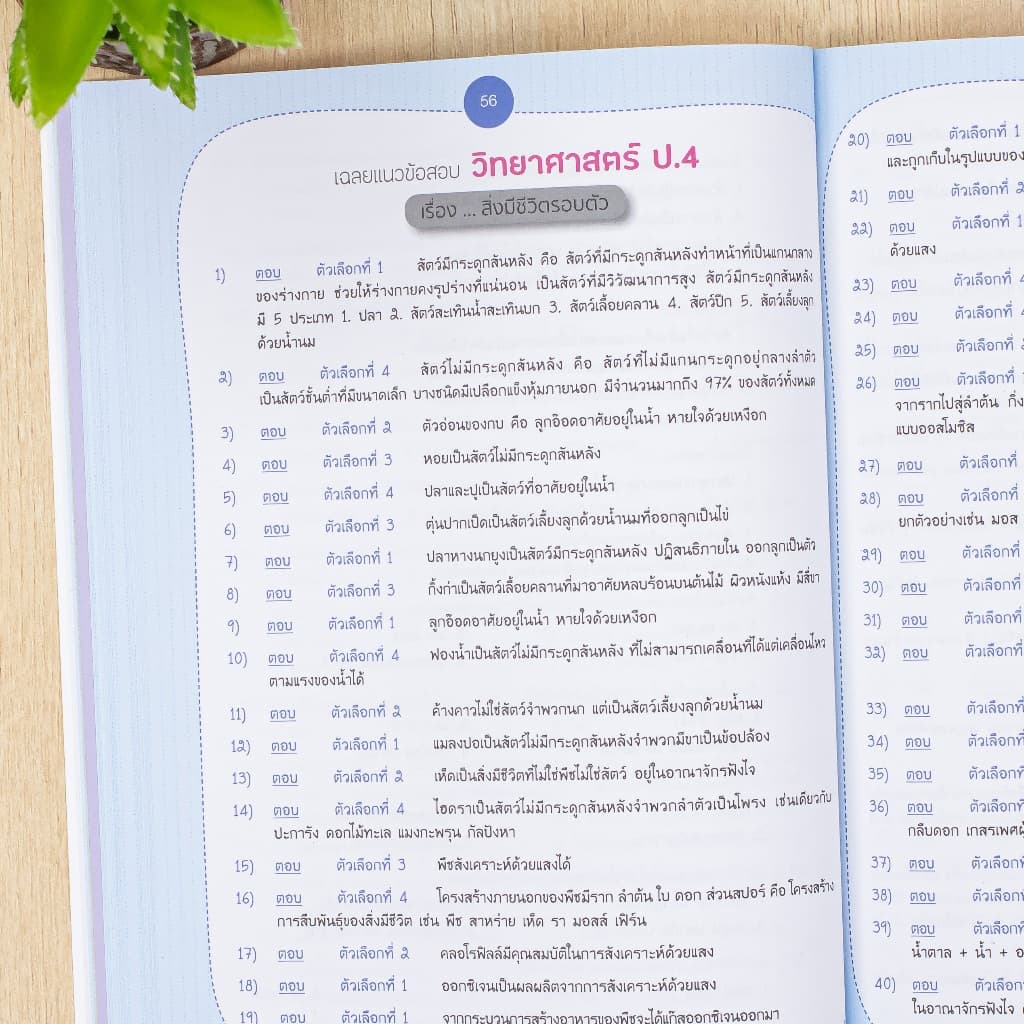 Thinkbeyond Book หนังสือ Very Easy ป.4 - 5 - 6 วิชา วิทย์ / เลข / อังกฤษ / สังคม /ภาษาไทย รูปที่ 5