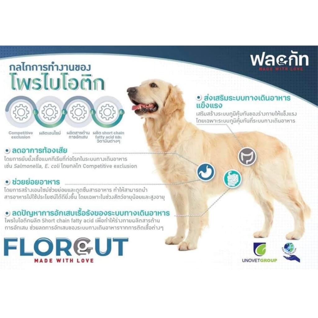 Florgut 30 แคปซูลExp.2028 อาหารเสริมโปรตีน พรีไบโอติกและโพรไบโอติก ปรับสมดุลลำไส้ สำหรับสุนัขและแมว รูปที่ 3