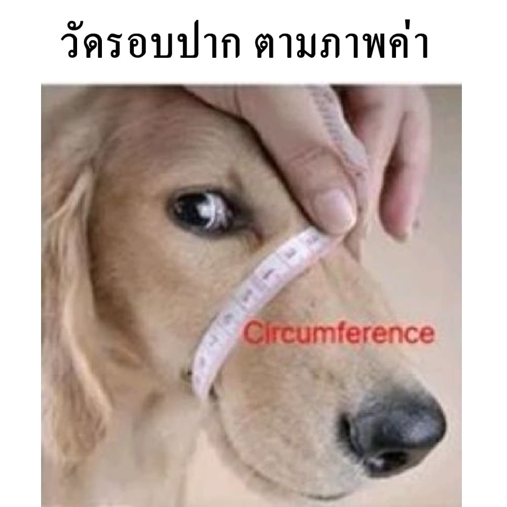 เบอร์ 1-7 ตะกร้อครอบปากสุนัข กันเห่า กัด ไนล่อนปรับหน้ากากเห่ากัดปากนุ่มตะกร้อกรูมมิ่งป้องกันหยุดเคี้ยว รูปที่ 2