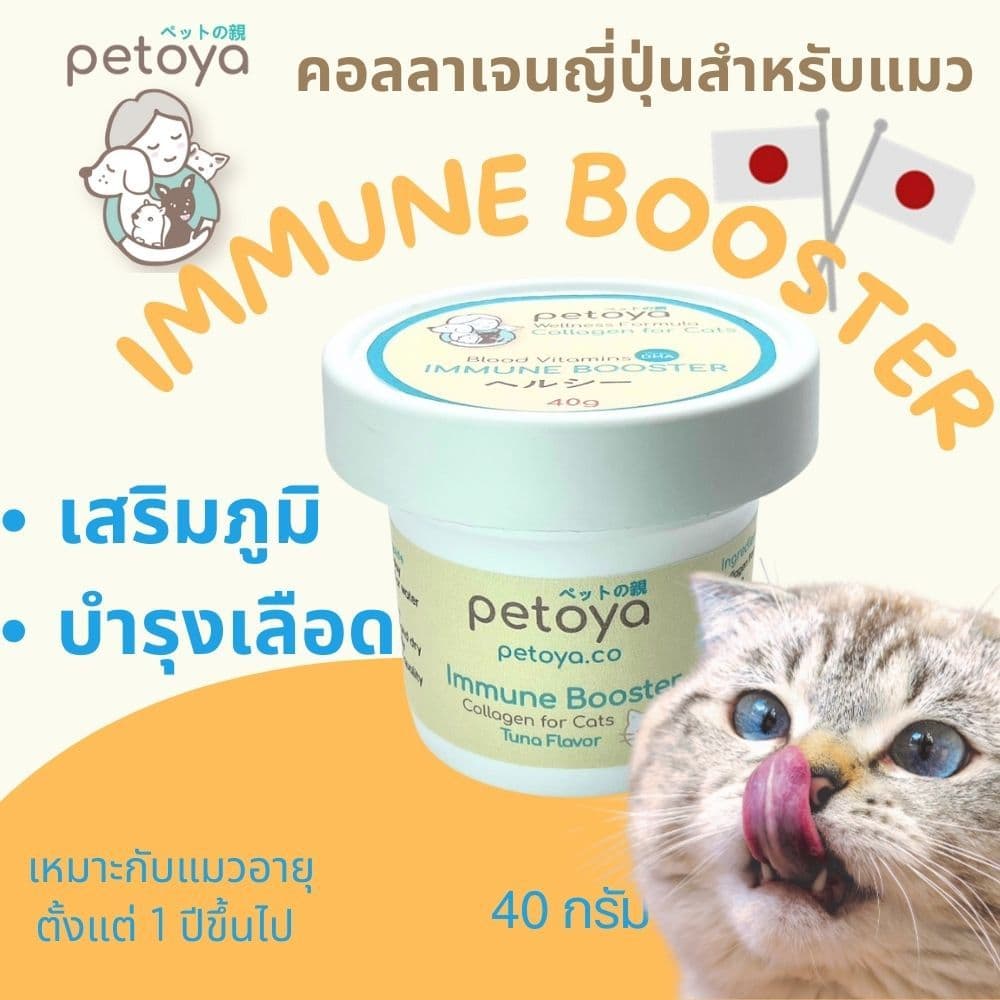 คอลลาเจนญี่ปุ่นสำหรับแมว สูตร IMMUNE BOOSTER เสริมภูมิ บำรุงครบสูตร รูปที่ 1