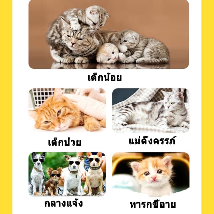 Pet Assistant ถุงมือสัตว์เลี้ยงแบบใช้แล้วทิ้ง ถุงมือสปา ถุงมืออาบน้ำแมว สุนัข ไม่ระคายเคืองผิว 6pcs รูปที่ 4