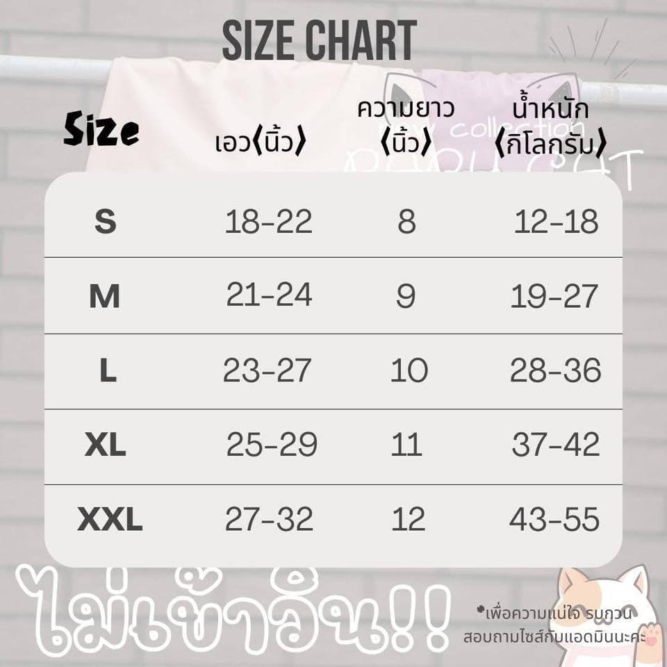 กางเกงกันโป๊ 2IN1 ใส่ตัวเดียวจบ ผ้านิ่ม ลื่นใส่เย็นสบายทั้งวัน 1เซตมี 5 ตัว คละสี สินค้าพร้อมจัดส่ง รูปที่ 5