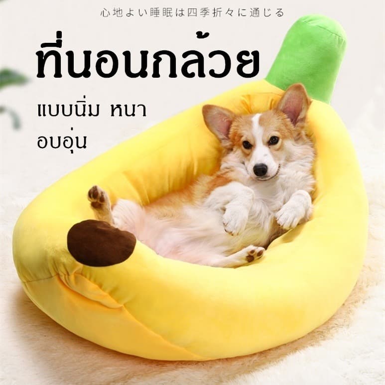 ที่นอนแมว ที่นอนสุนัข ที่นอนกล้วย ที่นอนสัตว์เลี้ยง สุนัข หมา แมว เบาะแมว เบาะหมา เบาะกล้วย ซักทําความสะอาดได้ รูปที่ 2