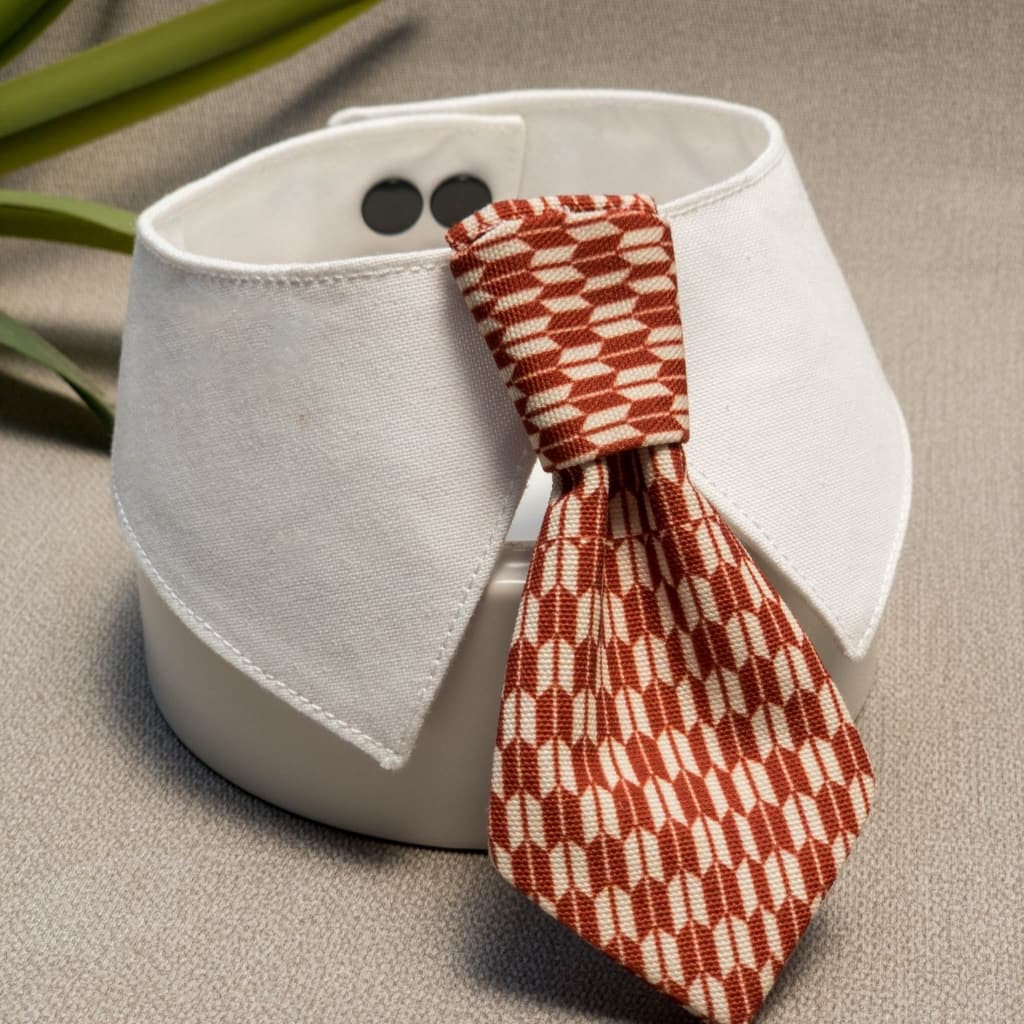 เนคไท น้องแมวน้องหมา ปลอกคอ รุ่น necktie ลายและสีสวย น้องใส่แล้วหล่อมาก ทำจากผ้า cotton รูปที่ 4