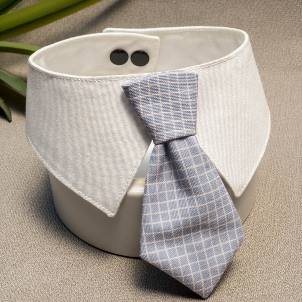 เนคไท น้องแมวน้องหมา ปลอกคอ รุ่น necktie ลายและสีสวย น้องใส่แล้วหล่อมาก ทำจากผ้า cotton รูปที่ 6