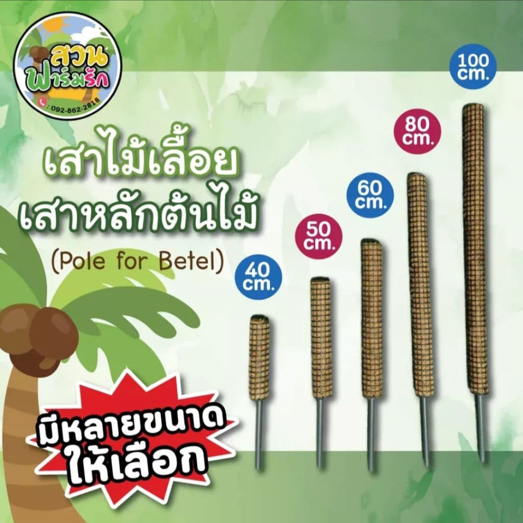 เสาใยมะพร้าว มีตาข่ายพันรอบหลักใช้ท่อ PVC ไม่ก่อให้เกิดเชื้อราในดิน รูปที่ 1