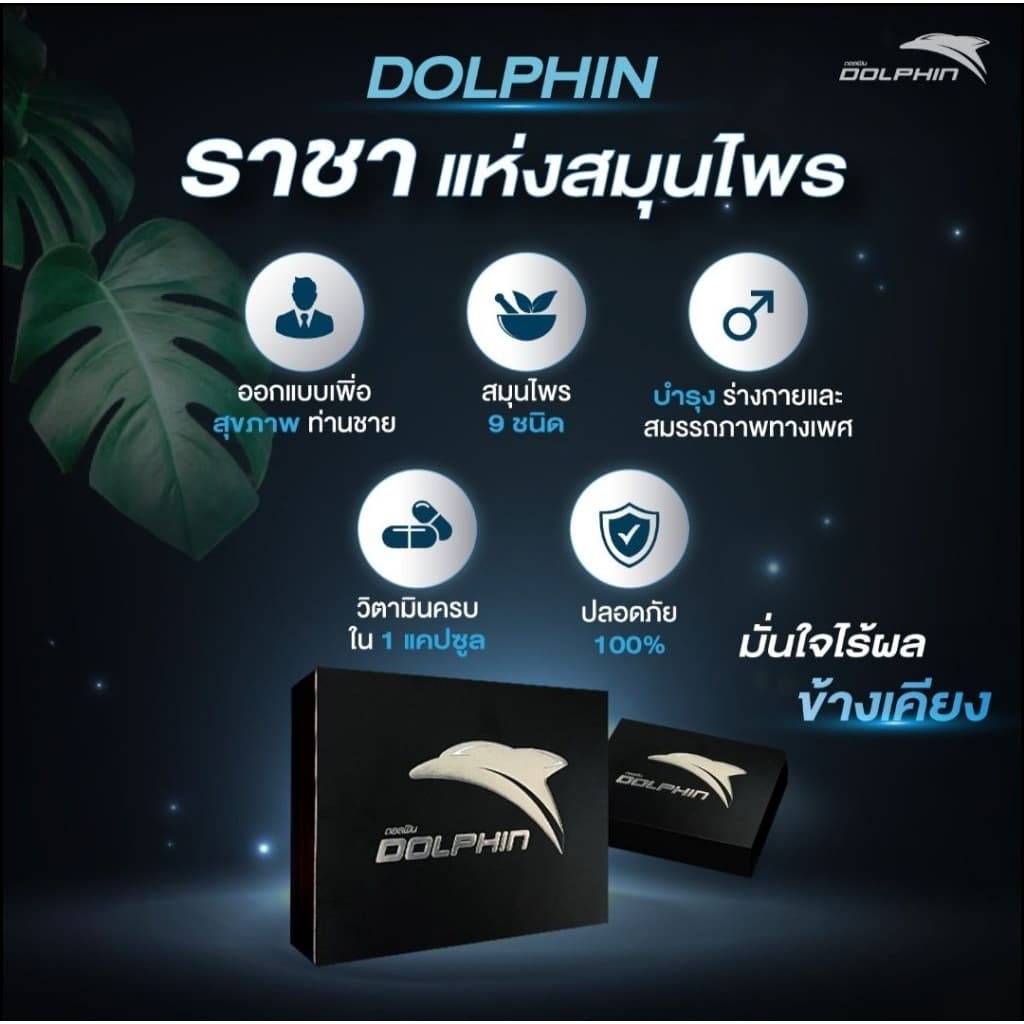 Dolphin หรือ Dolphinmore รูปที่ 1