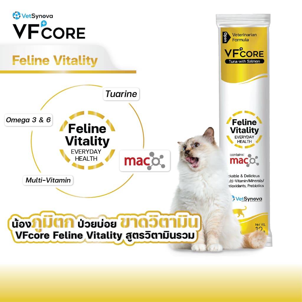 Cat Healthy Everyday VFcore LS x10 ซอง + Feline Vitality x10 ซอง รูปที่ 4