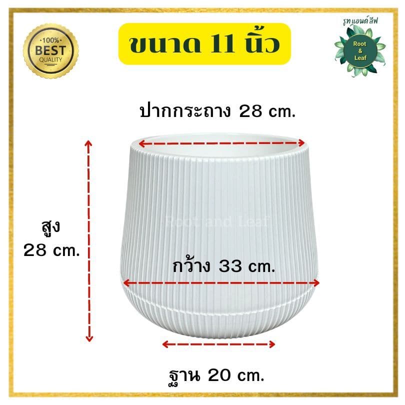 กระถางเบลล่าลายลูกฟูก กระถางพลาสติกมินิมอล ลายใหม่ลายเส้นลูกฟูก ขนาด 9 นิ้ว และ 11 นิ้ว เหมาะสำหรับตกแต่งบ้านแต่งคอนโด รูปที่ 9