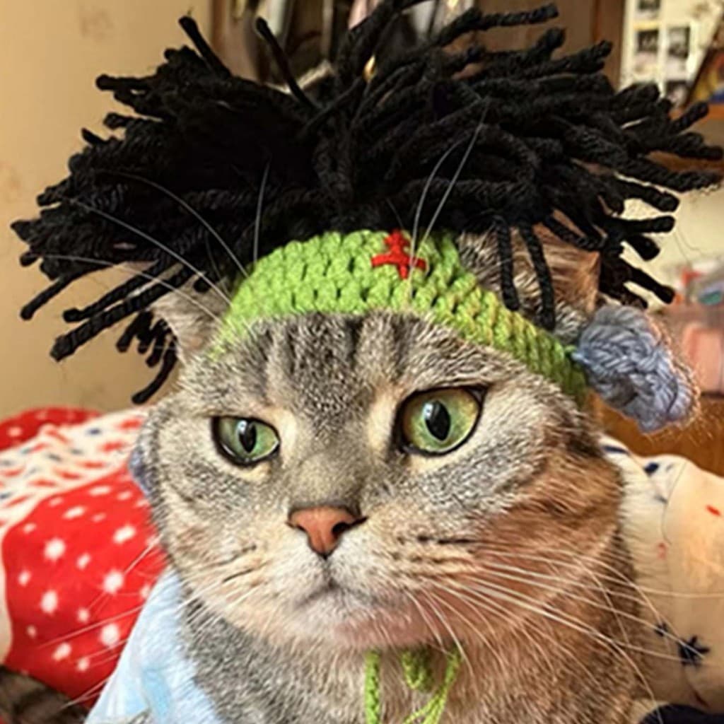yoyopet : Headband หมวกถักไหมพรม ที่คาดผมสัตว์เลี้ยง หมวกเรกเก้ สำหรับแมวสายเขียว หมวกแฟชั่น รูปที่ 2