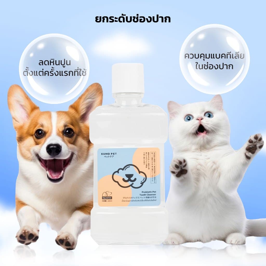 KUMOO PET น้ำยาบ้วนปาก สำหรับสัตว์เลี้ยง ลดคราบหินปูน ช่วยลดกลิ่นปาก รูปที่ 5