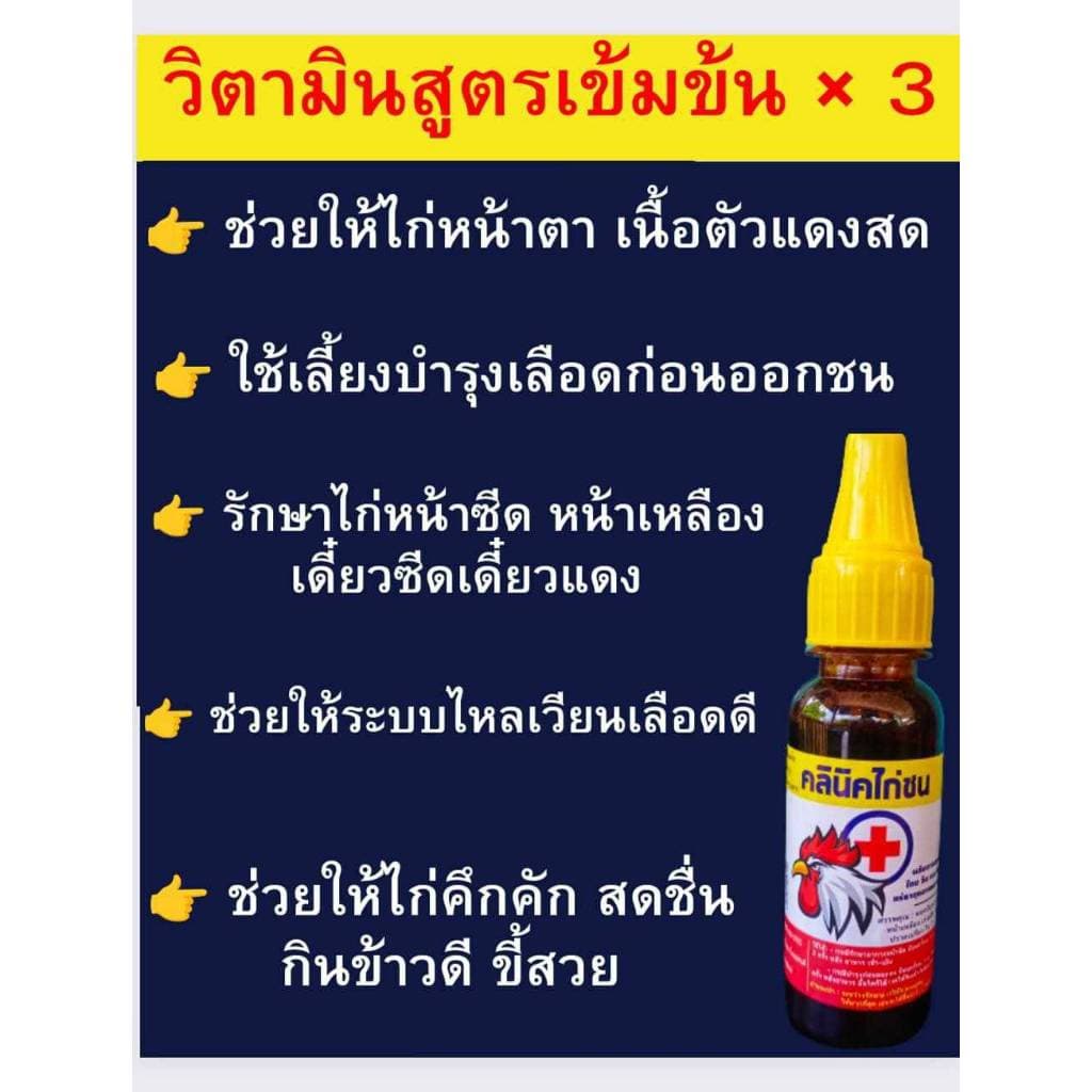 สมุนไพรชนิดน้ำสำหรับไก่ สูตรเข้มข้น x 3 แบบขวด ขนาด 100 ml. รูปที่ 5