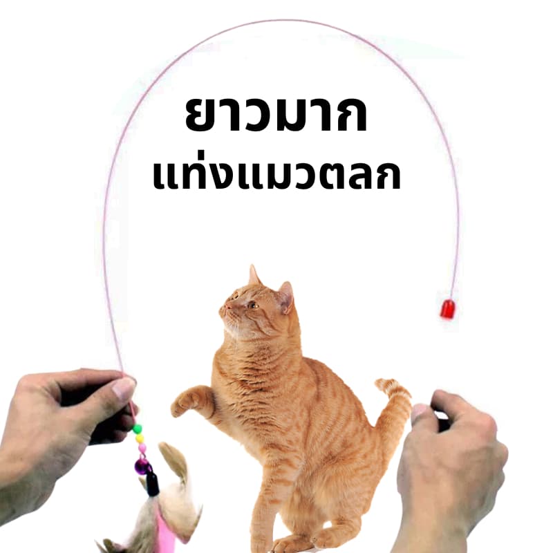 ไม้ตกแมว ของเล่นแมว ไม้แมว ไม้ล่อแมว ขอเล่นแมว ของเล่นเเมว หลากหลายสไตล์ ไว้ล่อแมว คลาดเครียดคลายเหงา รูปที่ 3