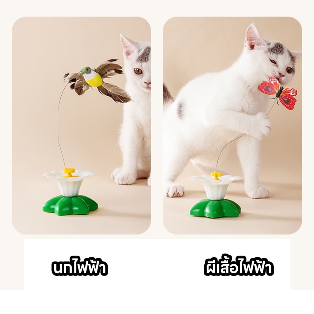 yoyopet : ของเล่นแมว หมุนอัตโนมัติอัจฉริยะ นกบิน ผีเสื้อบินอัตโนมัติ ของเล่นออโต้ หมุน360° รูปที่ 6