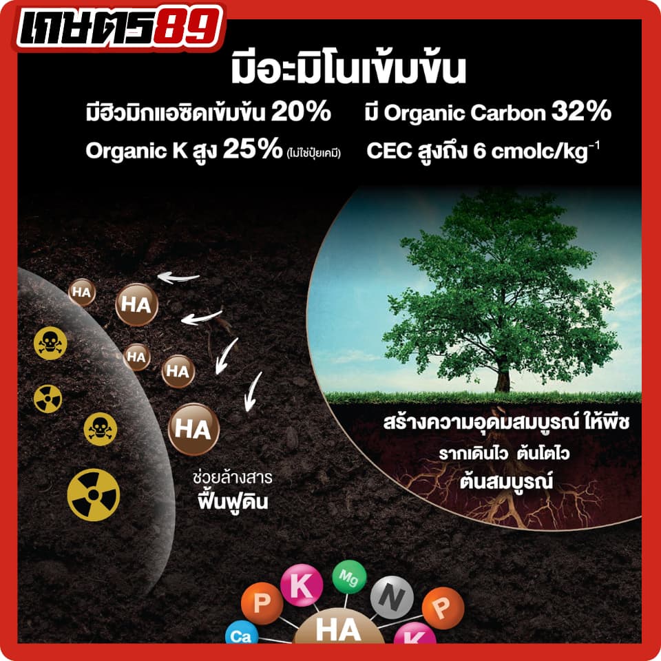 แบล็กเอิร์ธ Black Earth โพแทสเซียมฮิวเมท ฮิวมิกผงเข้มข้นละลายน้ำ ฉีดพ่นทางใบ ฟื้นฟูดิน รากกินอาหารได้มากขึ้น 25กก. รูปที่ 3