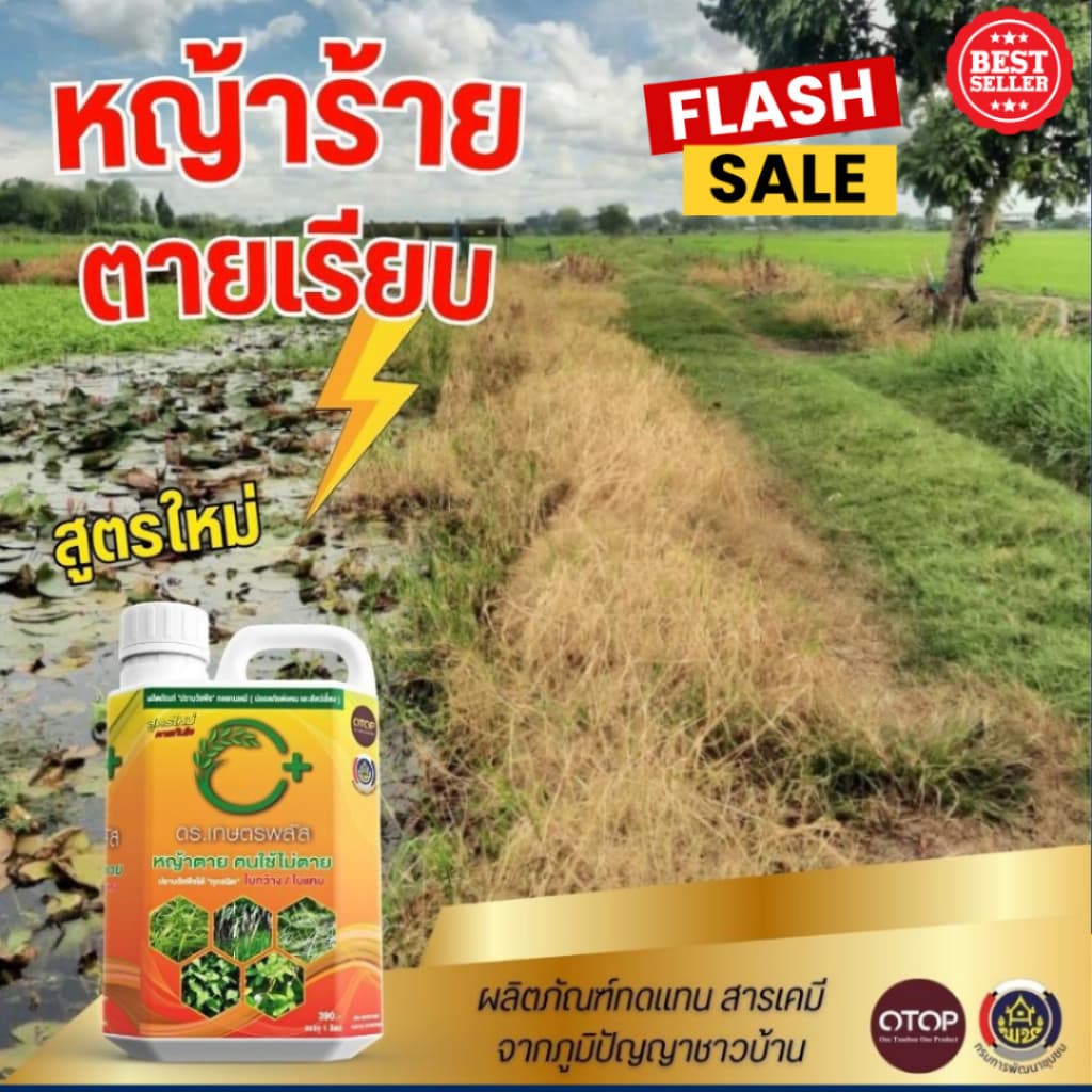 ปราบหญ้าทุกชนิดไม่มีสารเคมี ยาฆ่าหญ้า 1แกลลอน บรรจุ 1ลิตร ปลอดภัยต่อคนและสัตว์ รูปที่ 6