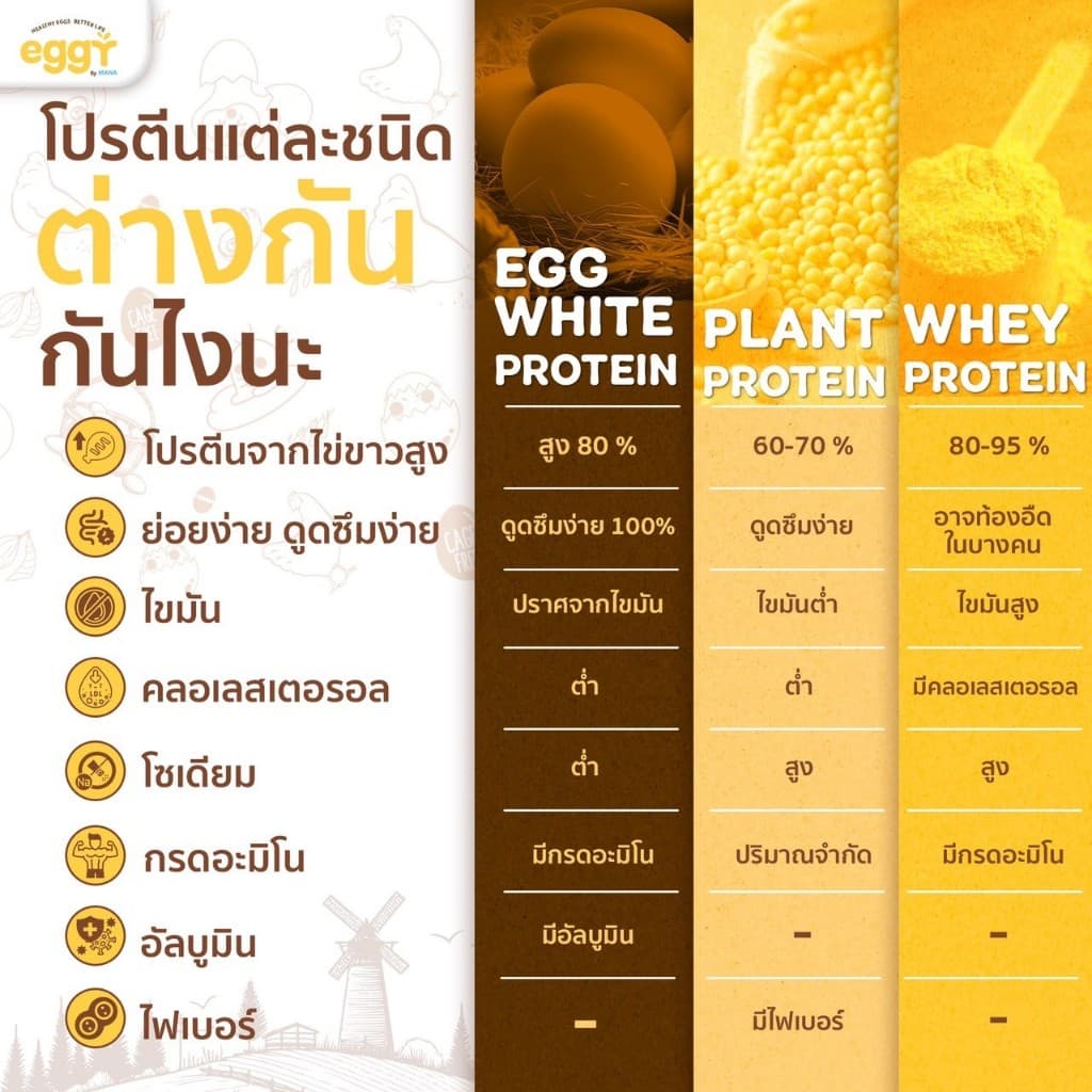 ของแท้ EGGY PROTEIN by MANA โปรตีนไข่ขาว สนยุกต์ ทานง่ายรสชาติดี ส่งตรงจากบริษัท รูปที่ 8