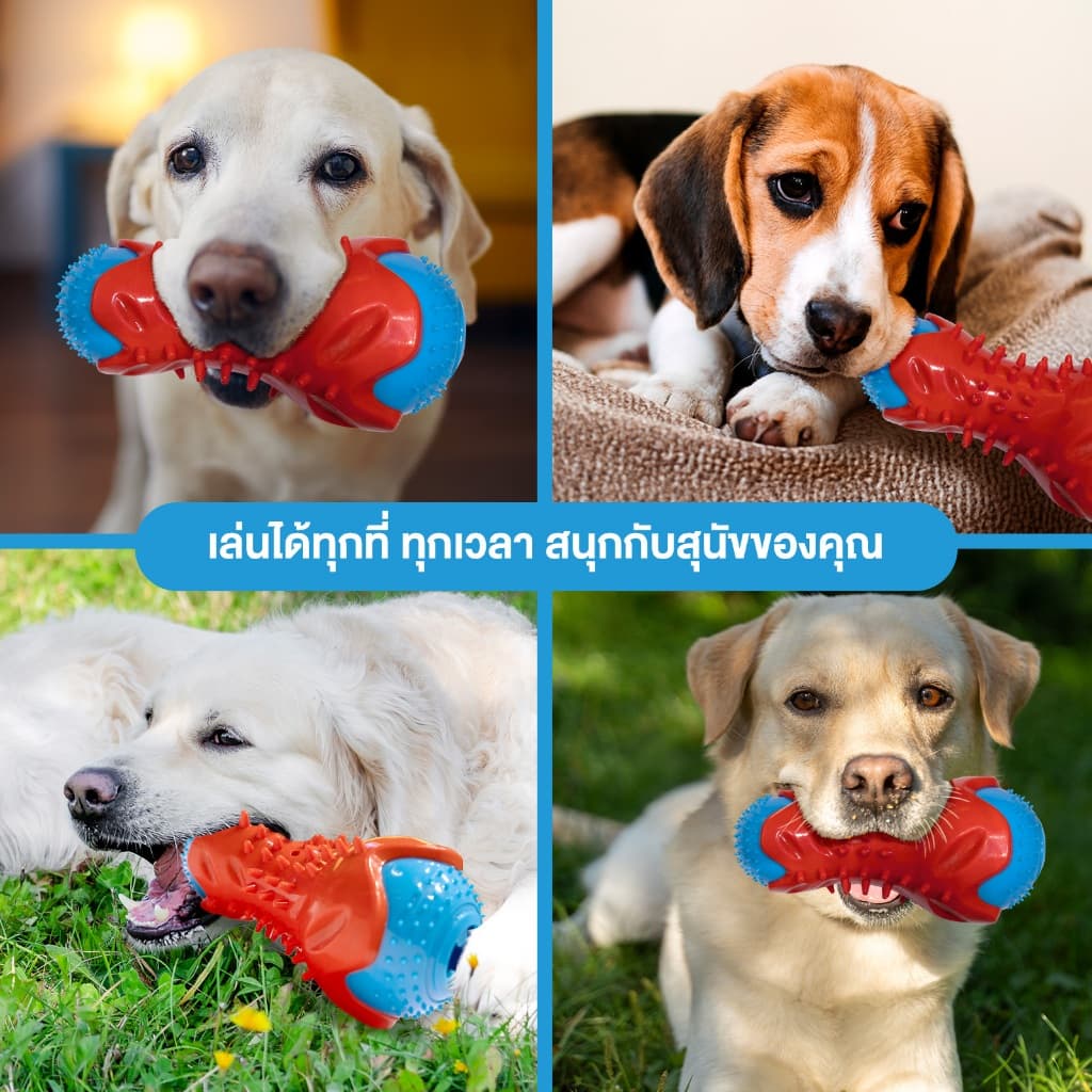 MOMOVIDA ของเล่นสัตว์เลี้ยง ของเล่นยางกัด ของเล่นให้อาหารสัตว์ ทนต่อการกัด ช่วยขัดฟัน ฝึกทักษะ ของเล่นสุนัข รุ่น DF-1 รูปที่ 8