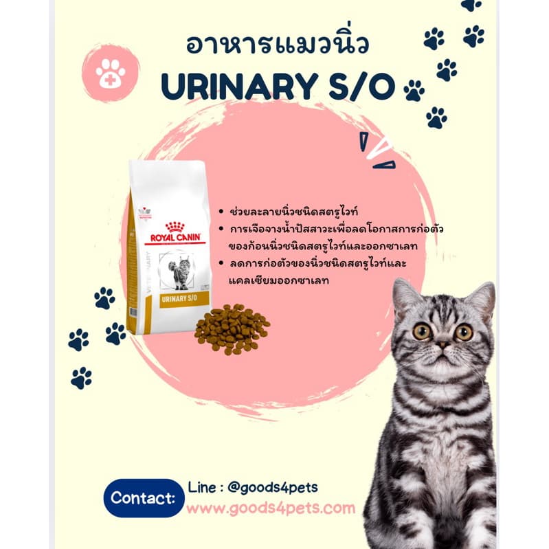 royal canin อาหารแมวโรคนิ่ว urinary s/o 1.5 กิโลกรัม รูปที่ 2