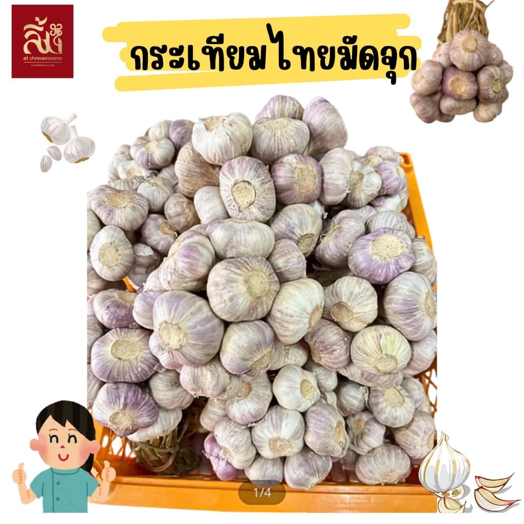 กระเทียมไทยจุก ขนาด 1กิโล รูปที่ 1