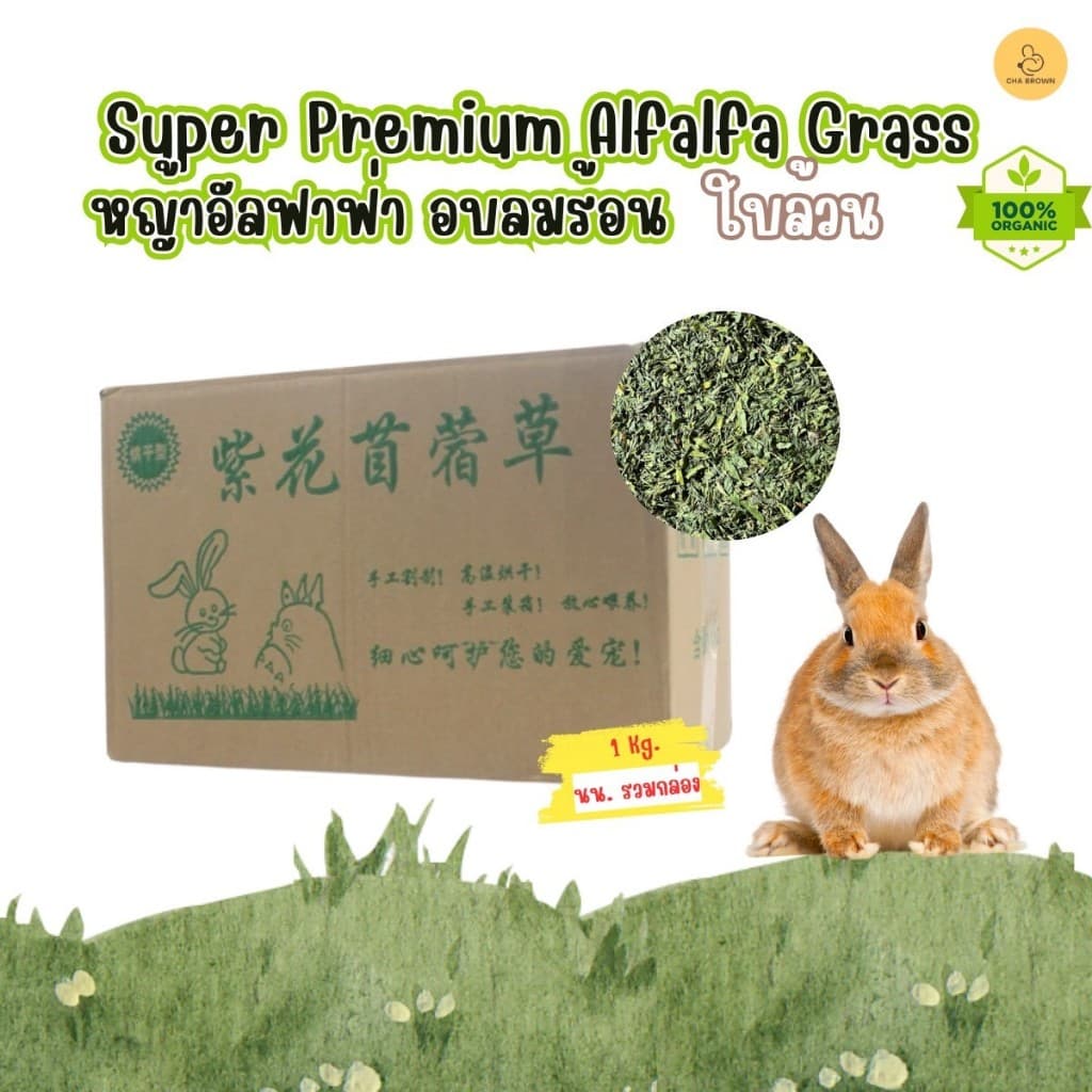 หญ้ากระต่าย หญ้าอัลฟาฟ่าอบลมร้อน Super Premium Alfalfa Grass ขนาด 1Kg. ใบล้วน รูปที่ 1