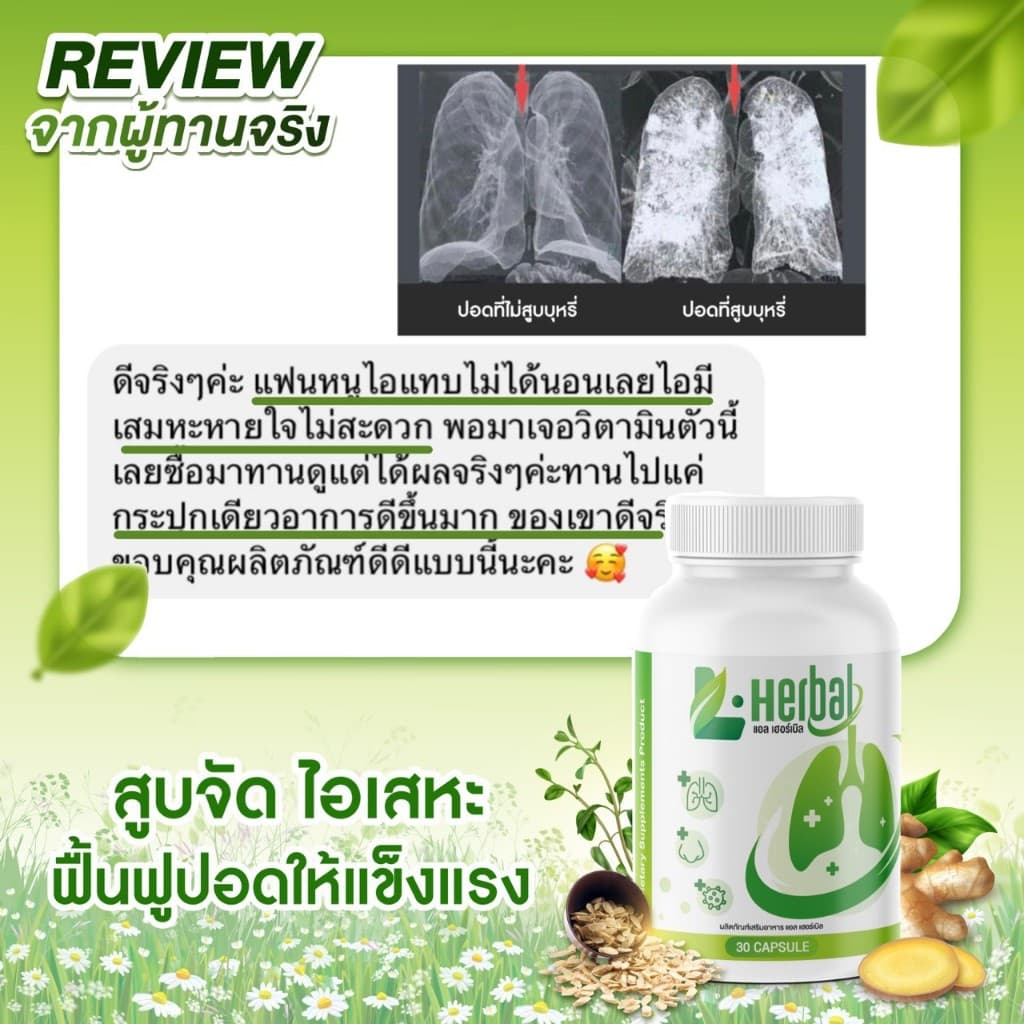 L-Herbal วิตามินบำรุงปอด บำรุงปอด ไอ จาม ไอเรื้อรัง ภูมิแพ้ รูปที่ 6