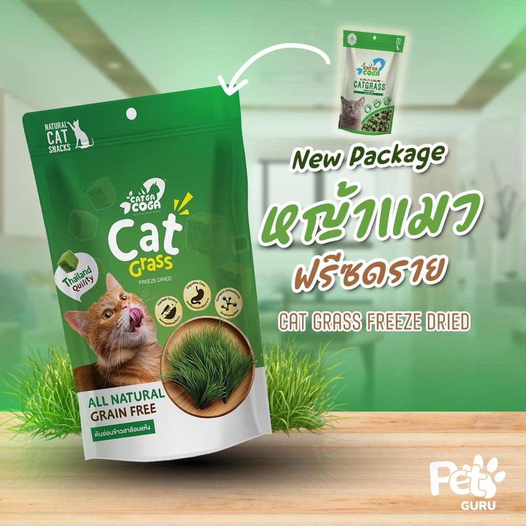 Cat Grass ต้นอ่อนข้าวสาลีอบแห้ง รูปที่ 1