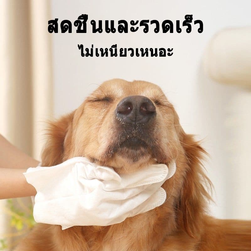 Pet Assistant ถุงมือสัตว์เลี้ยงแบบใช้แล้วทิ้ง ถุงมือสปา ถุงมืออาบน้ำแมว สุนัข ไม่ระคายเคืองผิว 6pcs รูปที่ 8