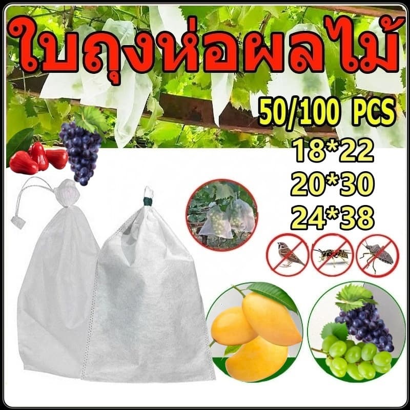 100 ใบถุงห่อผลไม้ ถุงห่อมะม่วง ใช้ห่อกันแมลง เพลี้ย แสงแดด ถุงห่อฝรั่ง ถุงใส่ยาไล่แมลง 20x30 ซ.ม.ถุงห่อผลไม้กันแมลง รูปที่ 4