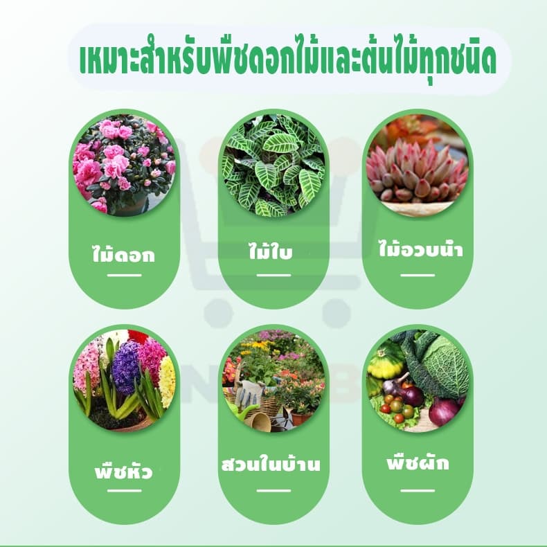 ขุยมะพร้าวอัดก้อน ปลูกต้นไม้ ดินปลูก พองตัวเร็ว 450g / 550g รูปที่ 6