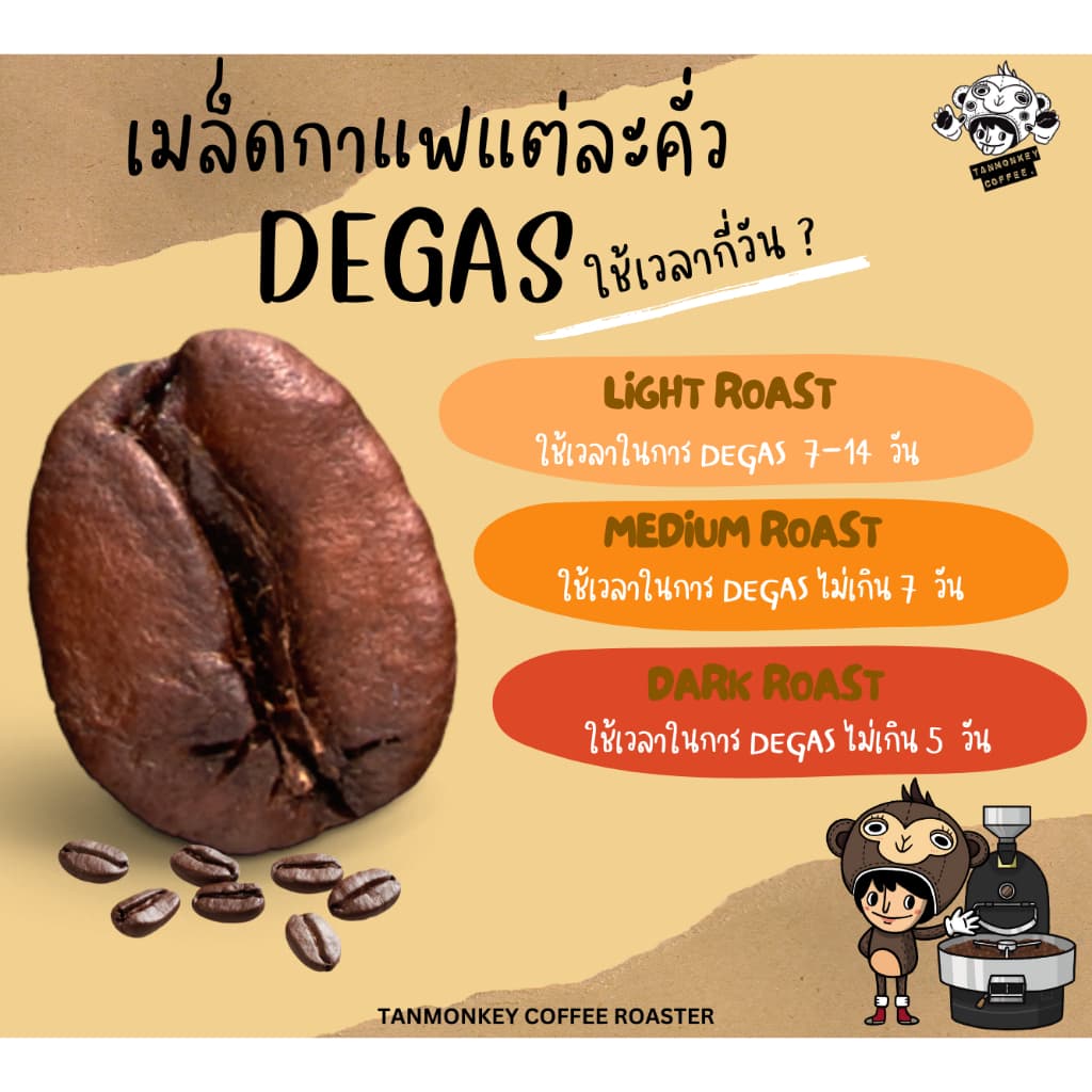 Tanmonkey Coffee เมล็ดกาแฟคั่ว Brazil Santos Coffee รูปที่ 5