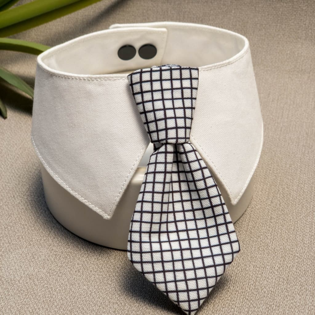 เนคไท น้องแมวน้องหมา ปลอกคอ รุ่น necktie ลายและสีสวย น้องใส่แล้วหล่อมาก ทำจากผ้า cotton รูปที่ 7