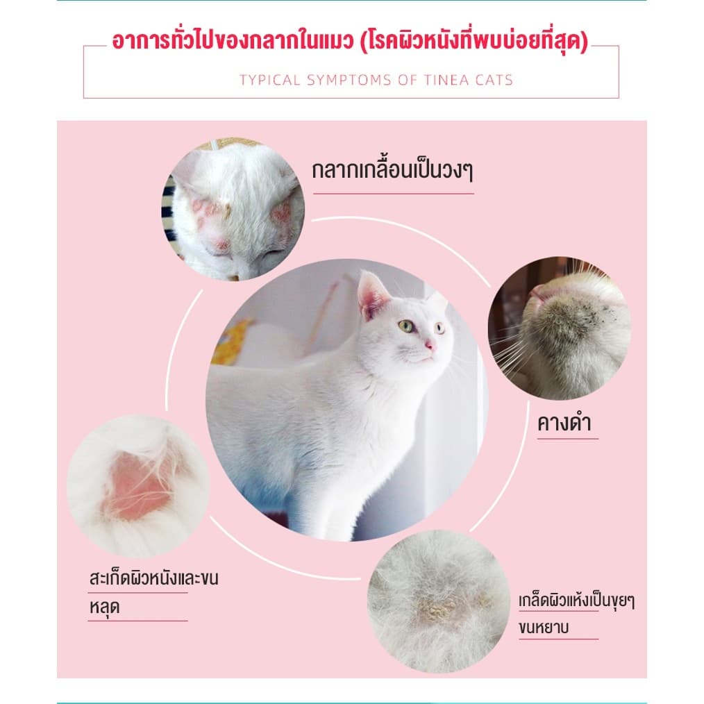 yugogoสเปรย์ผิวหนังสุนัขแมว สเปรย์นาโน แผลแห้งไว Nano Spray สุนัข แมว 100ml รูปที่ 3