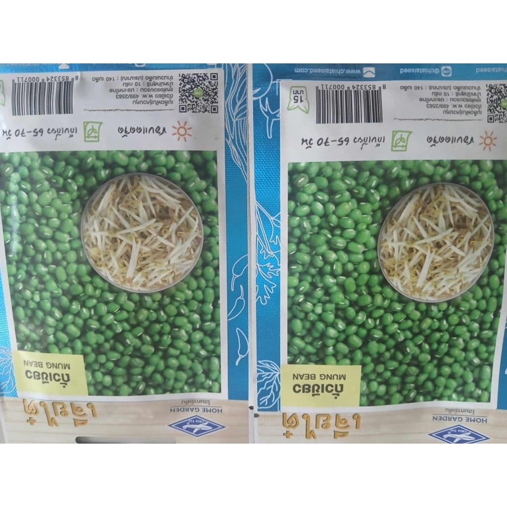 เมล็ดพันธุ์ ถั่วเขียว ถั่วงอก MUNG BEAN ตรา เจียไต๋ รูปที่ 9
