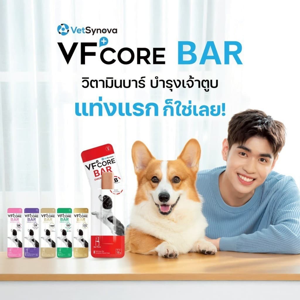 VFCore BAR วีเอฟคอร์ บาร์ อาหารเสริมสุนัข ในรูปแบบแท่งนิ่ม อร่อย ทานง่าย x 20 ซอง รูปที่ 3